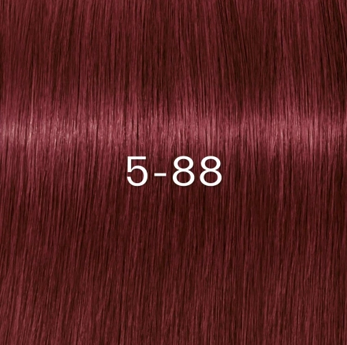 Schwarzkopf Igora Zero AMM - 5-88 Hajfesték 60ml főképe